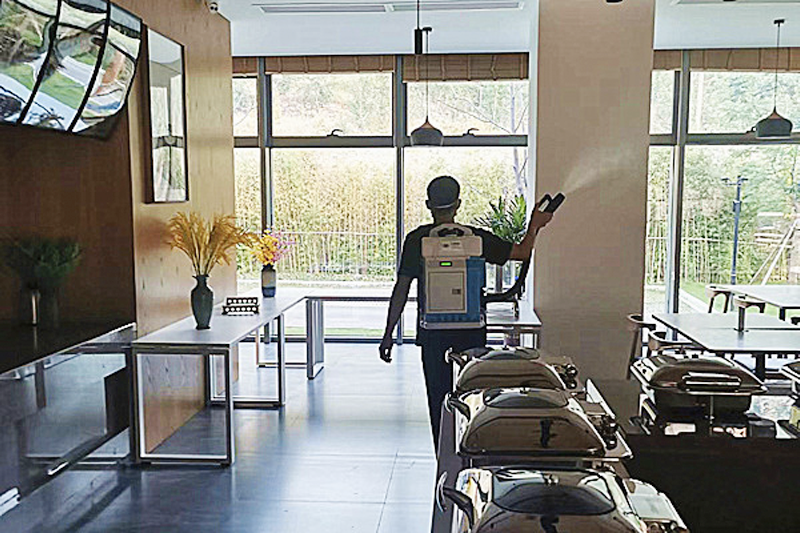 单位食堂灭小飞虫