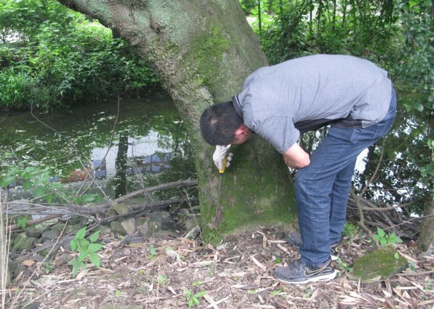 物理防治白蚁方法