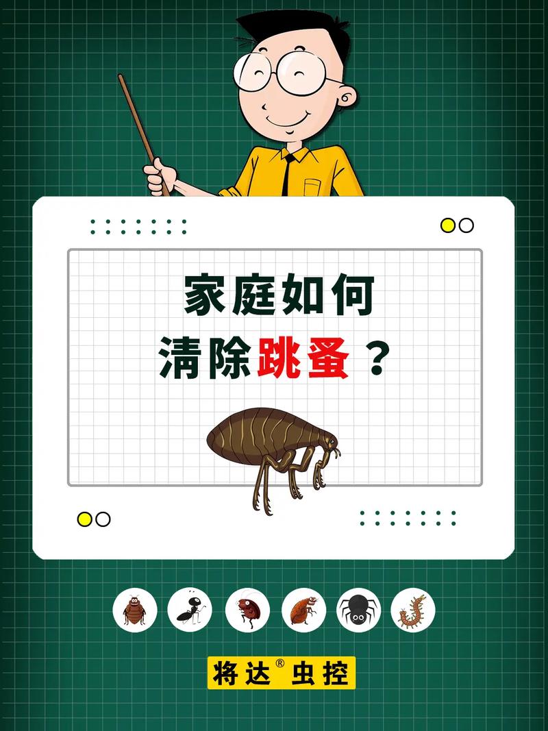 去除跳骚的杀虫剂_灭跳骚杀虫剂_灭跳蚤农药