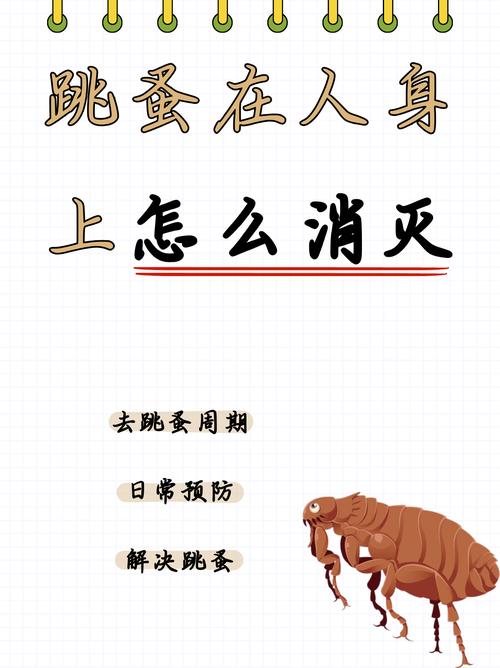 跳蚤危害不容小觑，理解其生命周期与习性是防治关键
