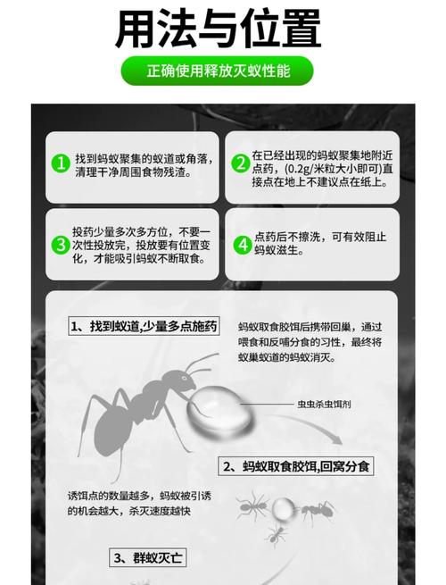 灭白蚁最快的方法_自己简单灭白蚁的方法_灭白蚁最有效的方法