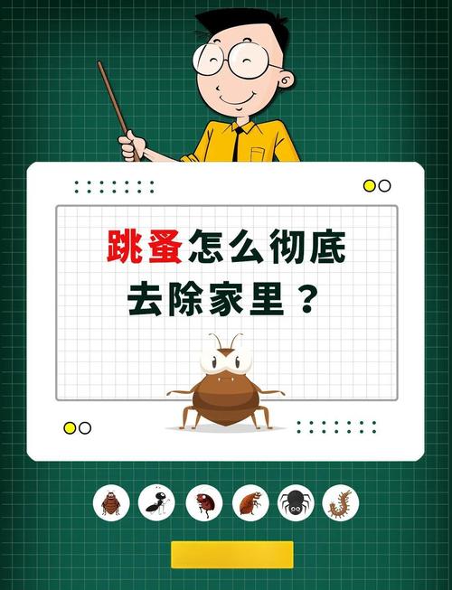 土跳蚤长什么样子_消灭办法土跳蚤最佳方法_消灭跳蚤最佳土办法