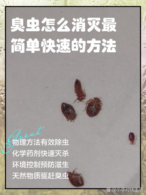 如何彻底清除家中臭虫？这些有效方法请收好