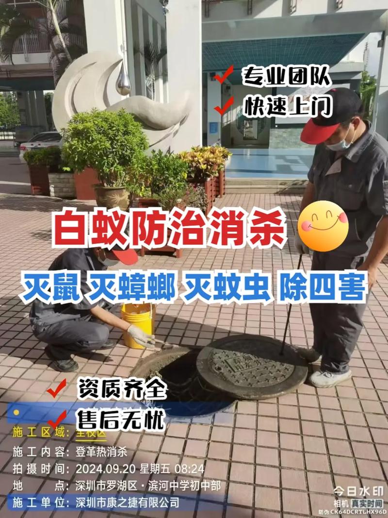 灭白蚁服务收费_灭白蚁上门要收费吗_上门灭白蚁收费标准