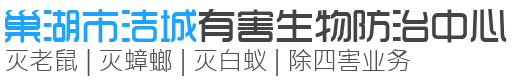 灭苍蝇最有效的方法 家庭安全自制灭蝇工具-新闻中心-巢湖灭老鼠_巢湖灭蟑螂_巢湖灭白蚁_巢湖杀虫公司_巢湖除四害_巢湖市洁城有害生物防治中心
