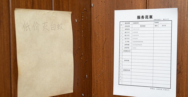 灭白蚁价格费用_灭白蚁的收费标准_灭白蚁价格