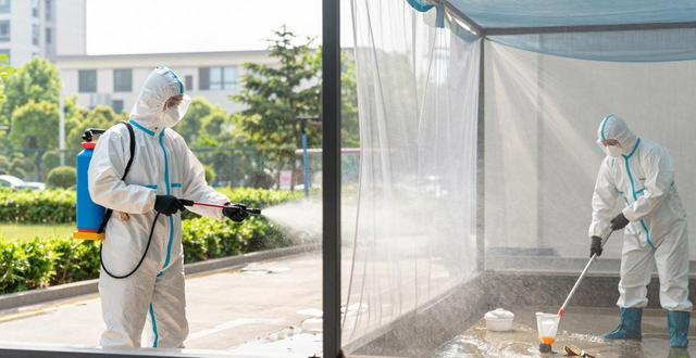 除四害工具怎么选？针对老鼠苍蝇蚊子的高效灭杀方法